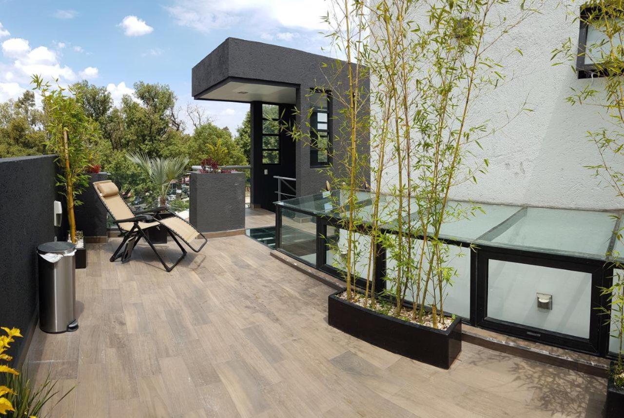 Confort Guest house Mexico City
