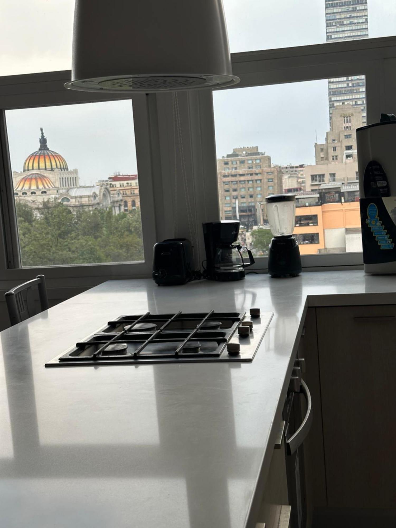 Departamentos De Lujo Alameda