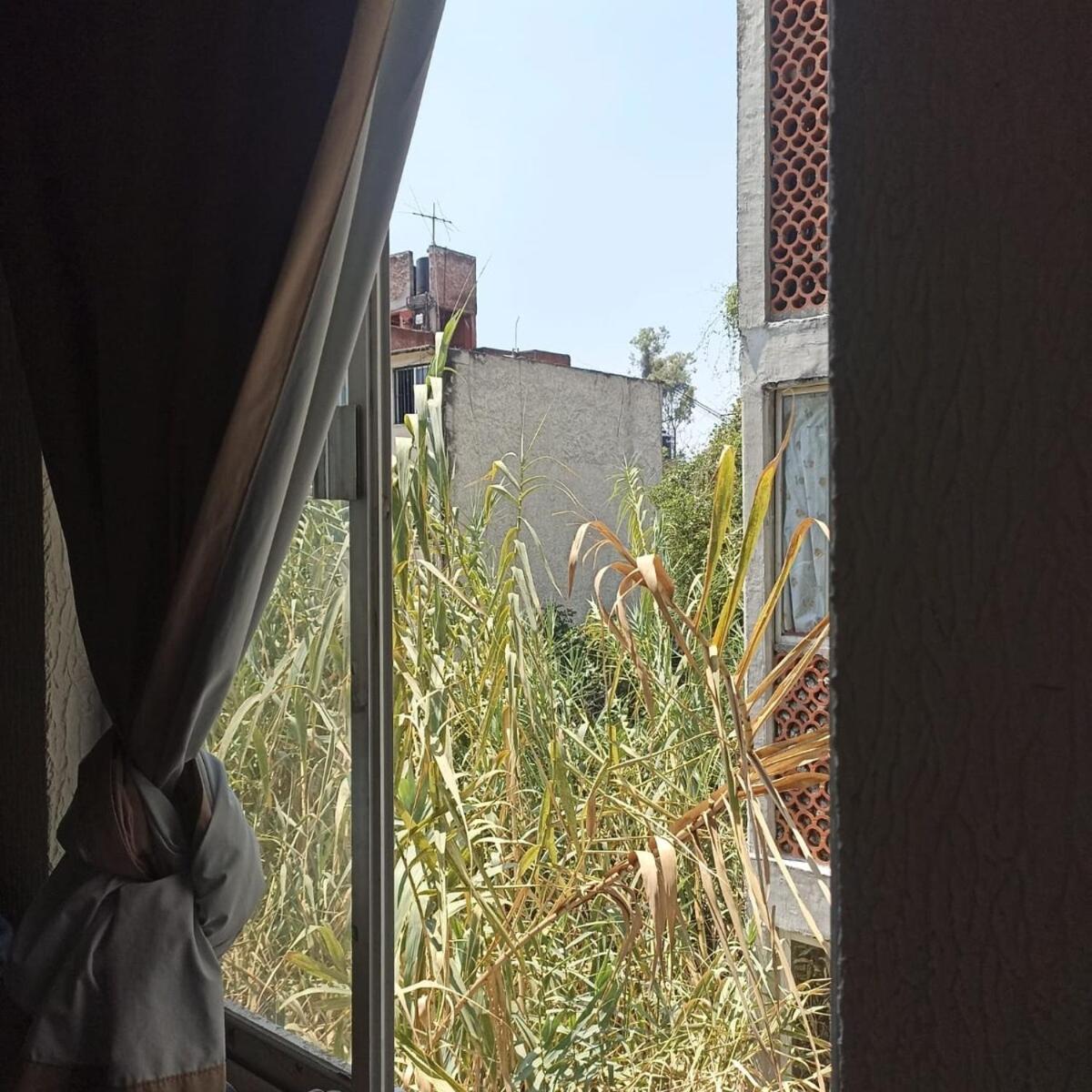 Sandos House Centrally Located Bedroom Apartment Mexico City