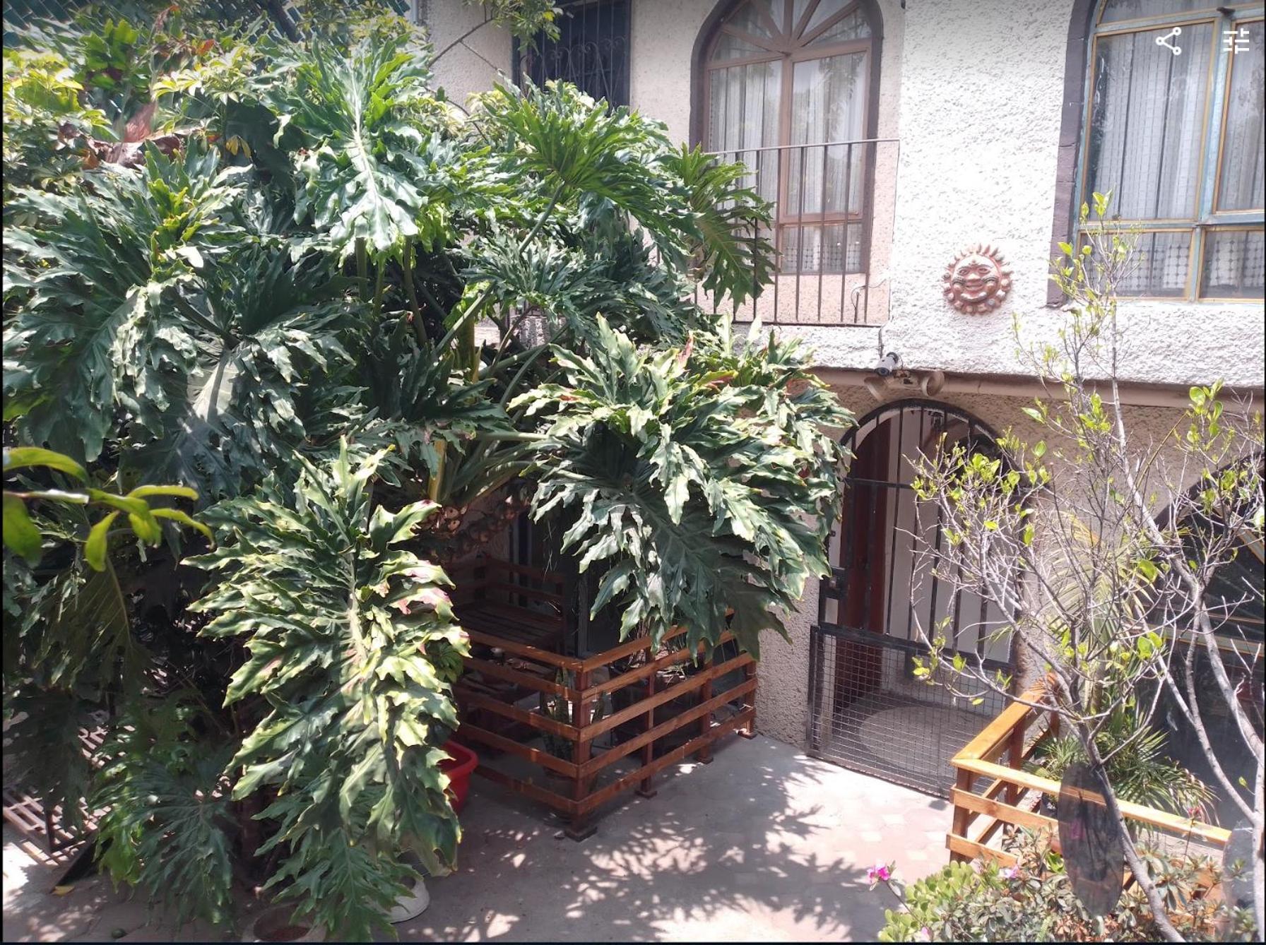 Сasa de vacaciones Casa Sola En Xochimilco 6 Personas México DF