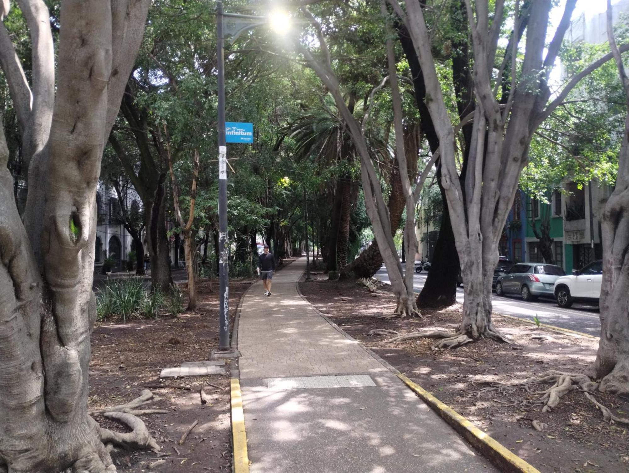 Piso 9 Condesa