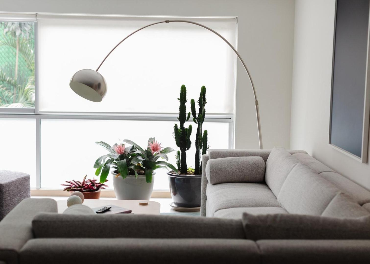 Mrw | Condesa Authentic | 2br 2ba * Mexico City