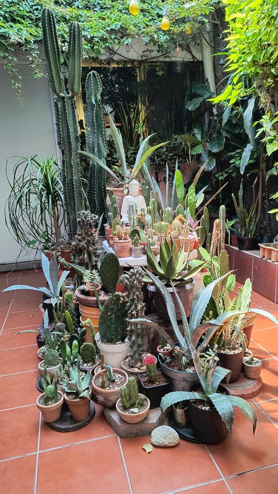 Apartamento La Mas Comoda Y Elegante *