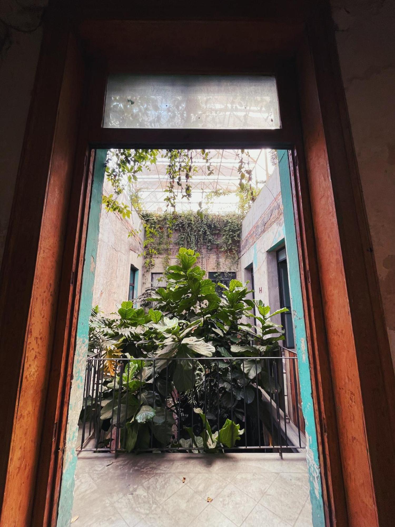 Guest Jardin Prim Mexico City