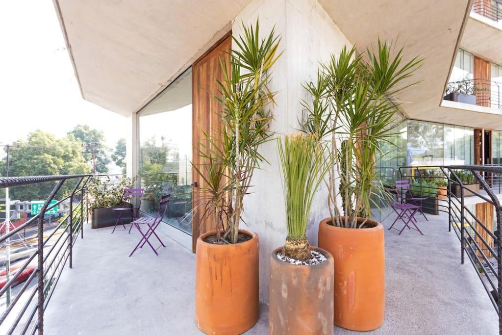 A2-apartment Steps From Chapultepec Castle And Reforma Apartamento *