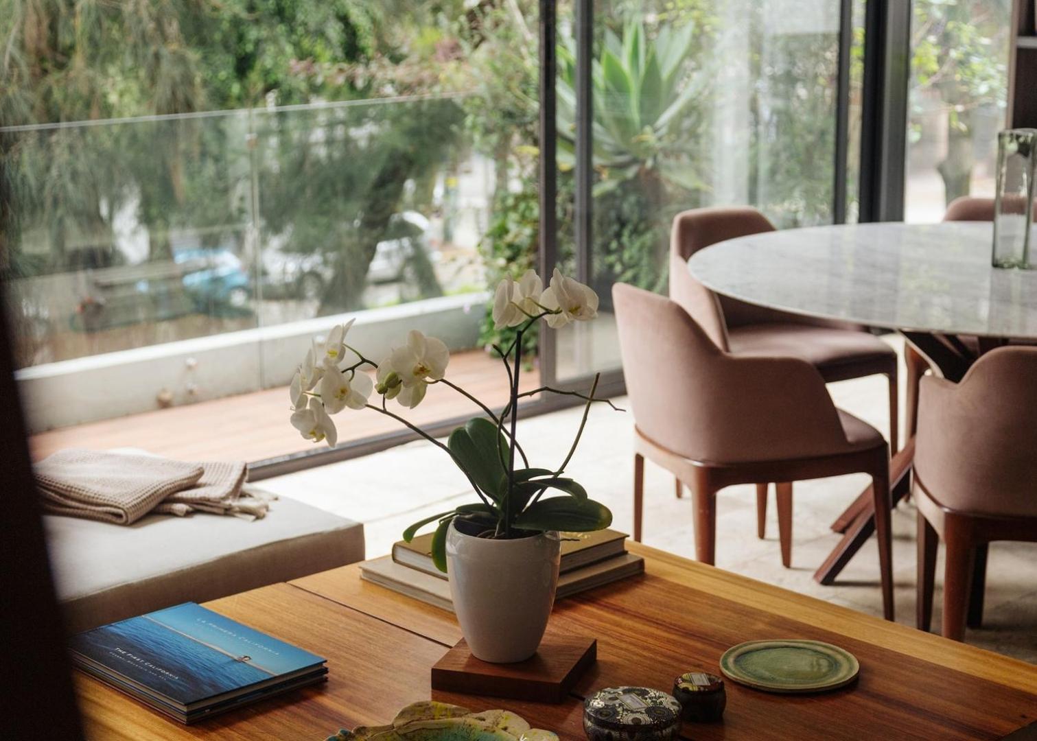 Apartamento Mrw | Hidden Gem Terrace In The Heart Of Condesa