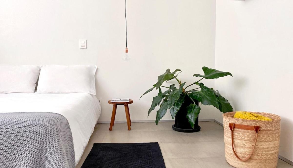 Casa Mariana, Stylish, Spacious, Few Blocks From Condesa Y Polanco * Mexico City