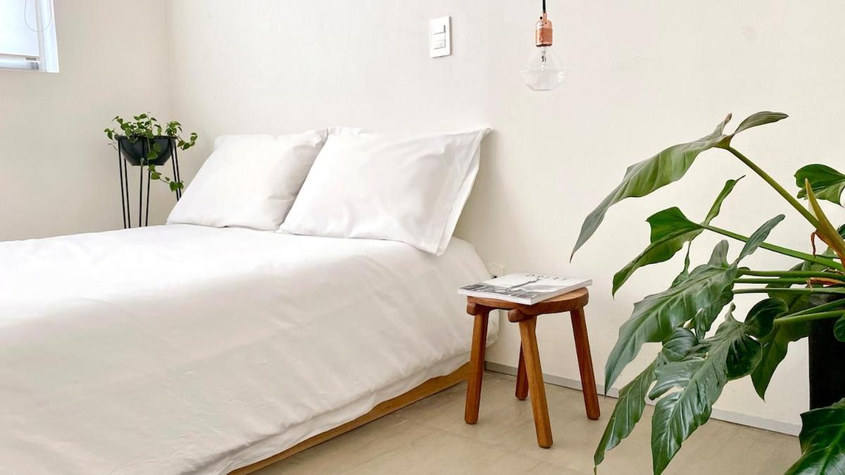 Apartment Casa Mariana, Stylish, Spacious, Few Blocks From Condesa Y Polanco *