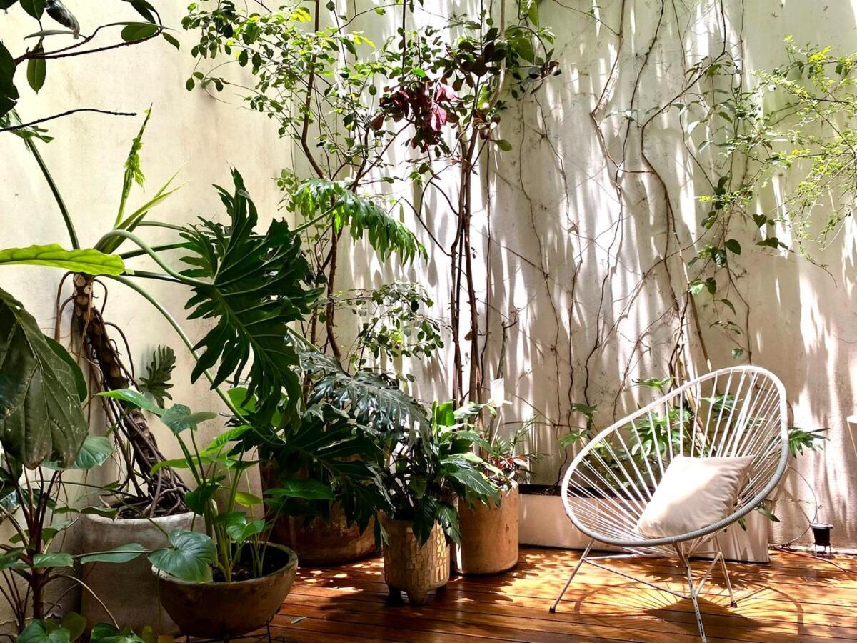 Casa Mariana, Stylish, Spacious, Few Blocks From Condesa Y Polanco Apartment *