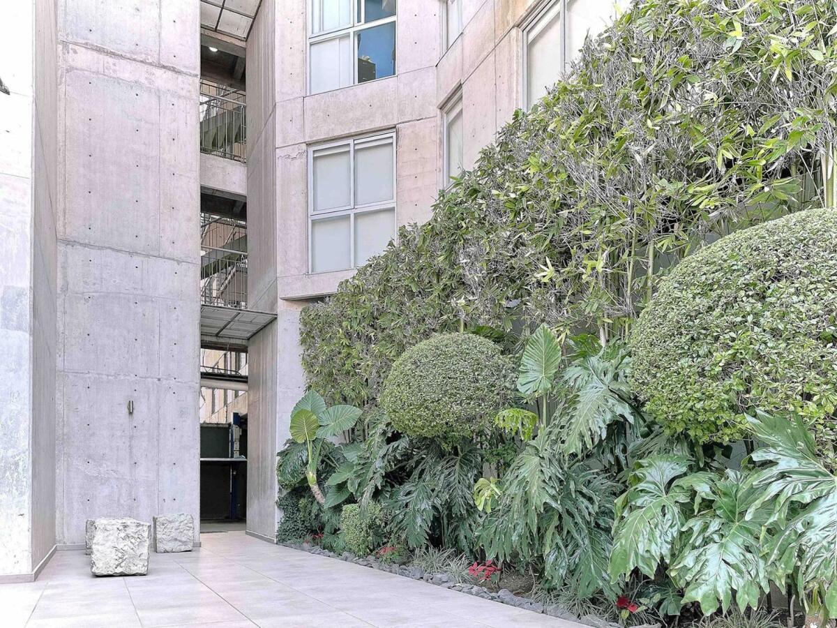Skyloft Departament Cdmx Apartment *