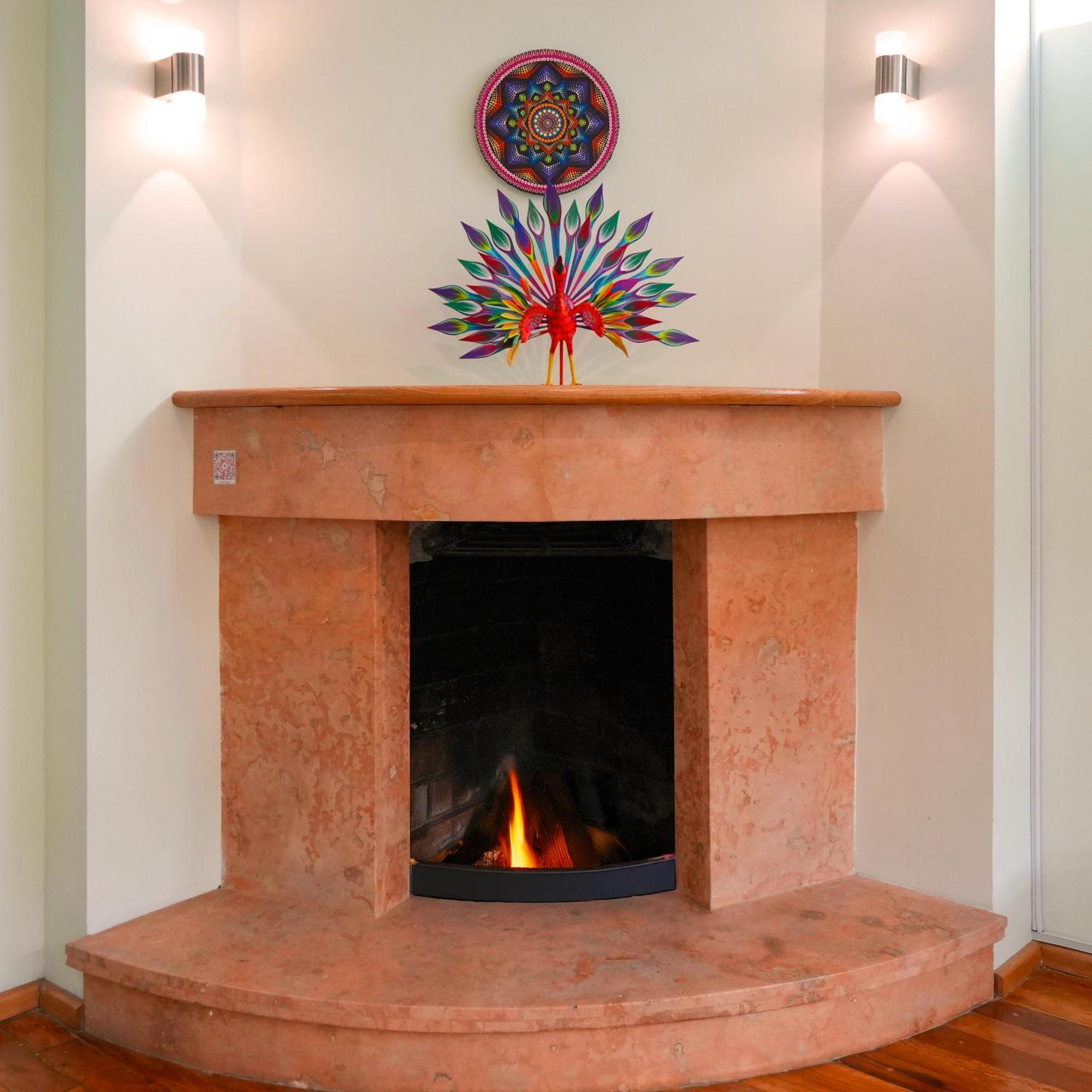Casa Azul Roma Not Just A Vacation It'S An Experience! Mexico City
