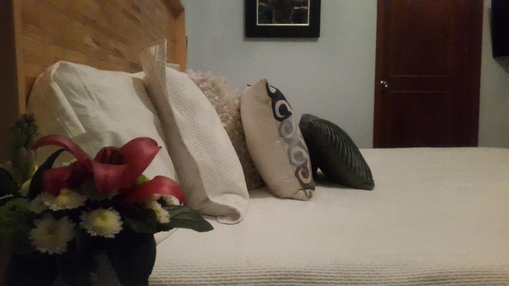 Bed & Breakfast La Querencia Df Mexico City