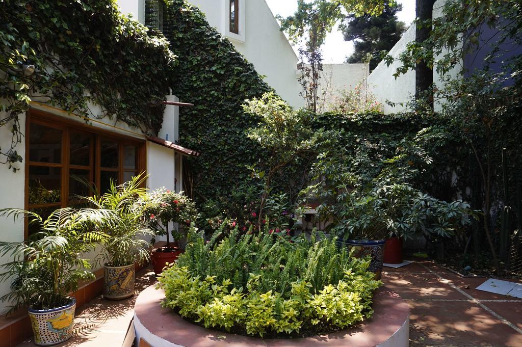 Casa Jacinta Bed and breakfast México DF
