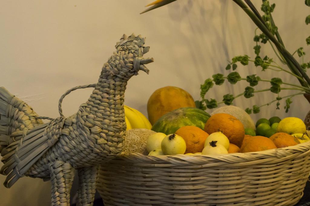 Bed & Breakfast Entre Barrios Hospederia Mexico City