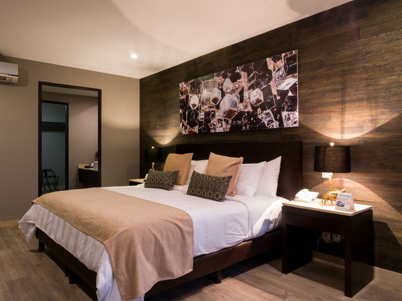 Ventura Hotel&suites Interlomas 4*