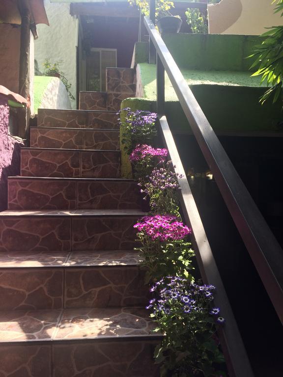 Mi Aldea Holistica Pensión México DF