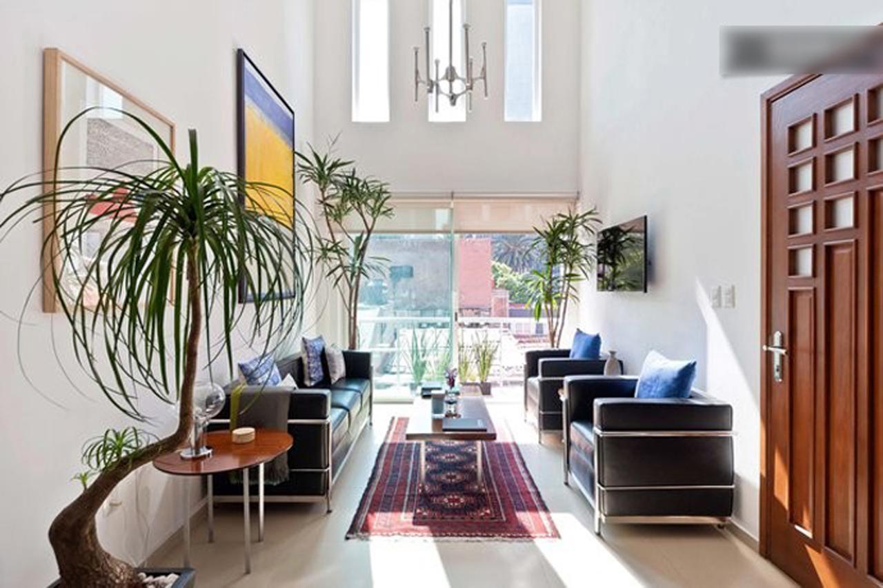 Apartment Duplex Penthouse Zona Rosa Mexico City