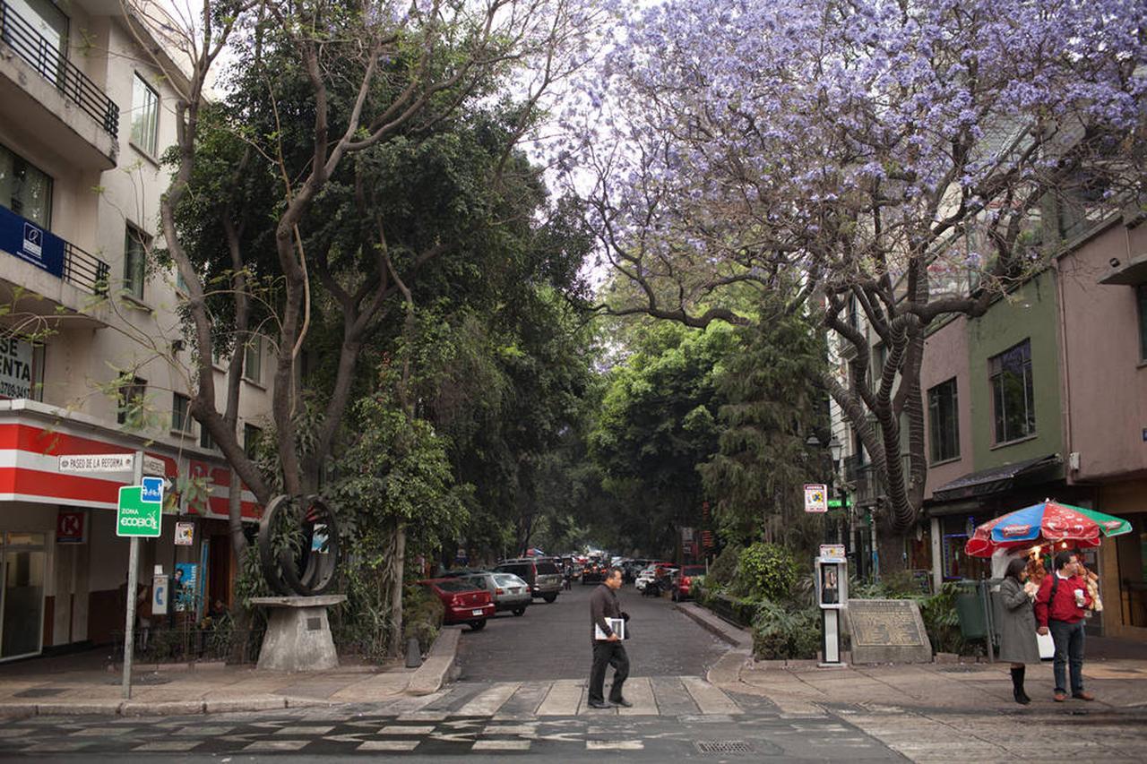 Duplex Penthouse Zona Rosa *