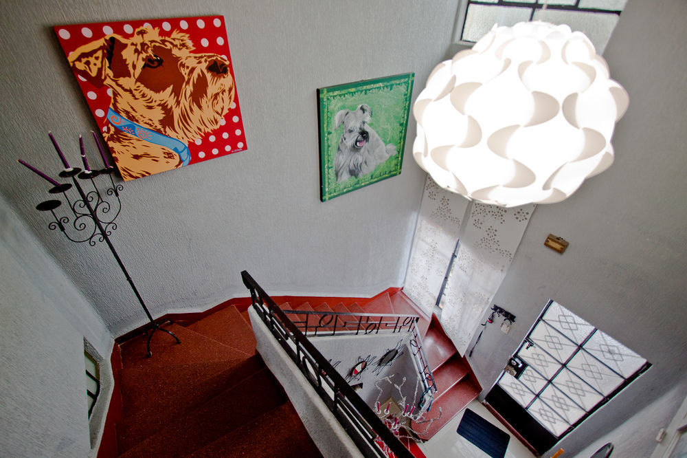 Condechi B And B Bed & Breakfast Mexico City