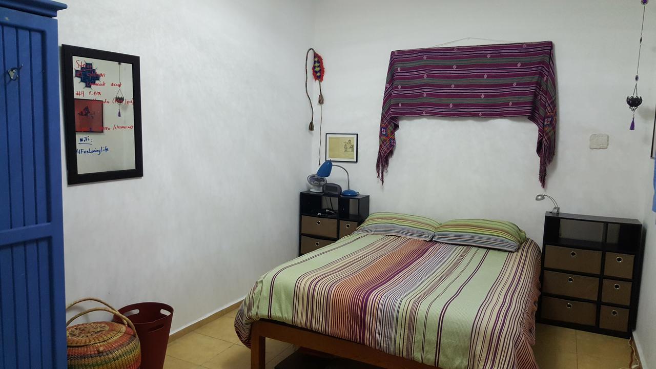Cozy & Full In Coyoacan Great For Long *