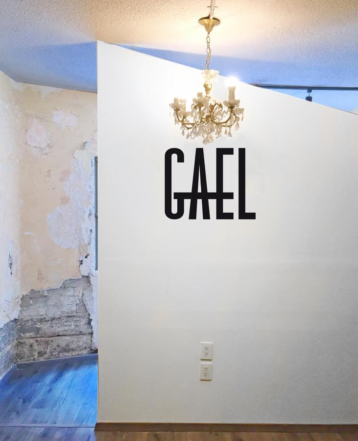 Hostal Gael Condesa *