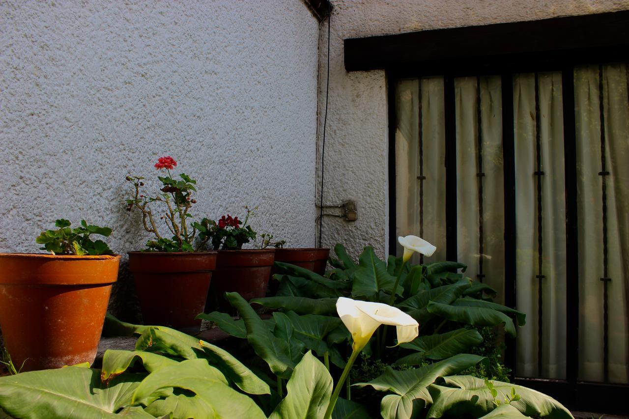 Casa Ayvar Bed and breakfast 3*