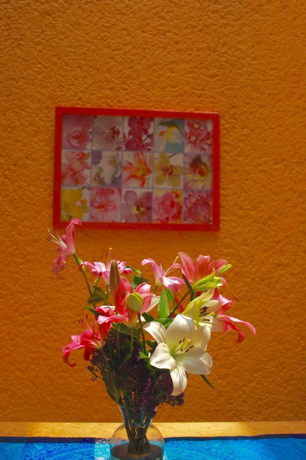 Bed and breakfast Casa Ayvar 3*