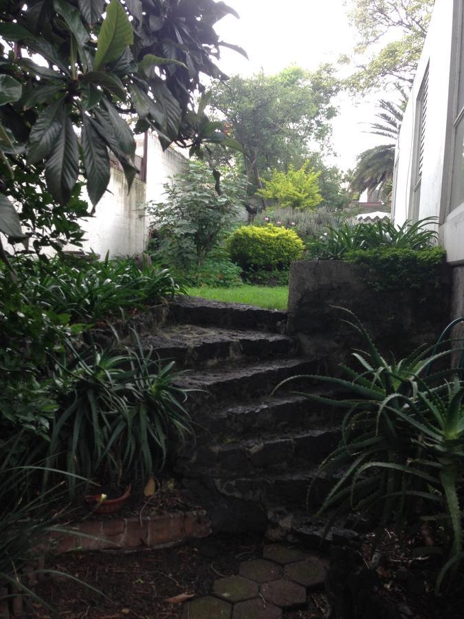 Casa Margarita Coyoacan Bed and breakfast