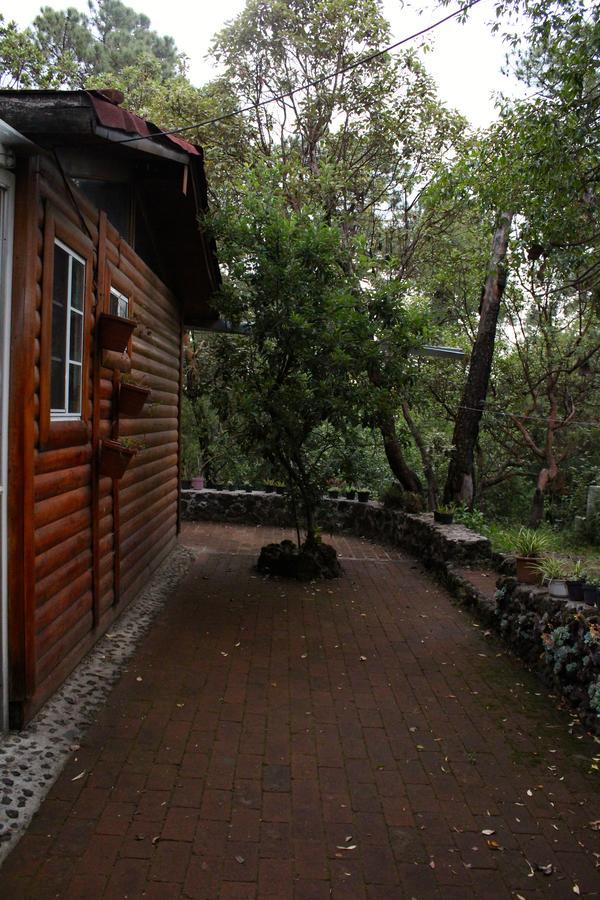 Chalet Cabana Espacio De Oyamel *