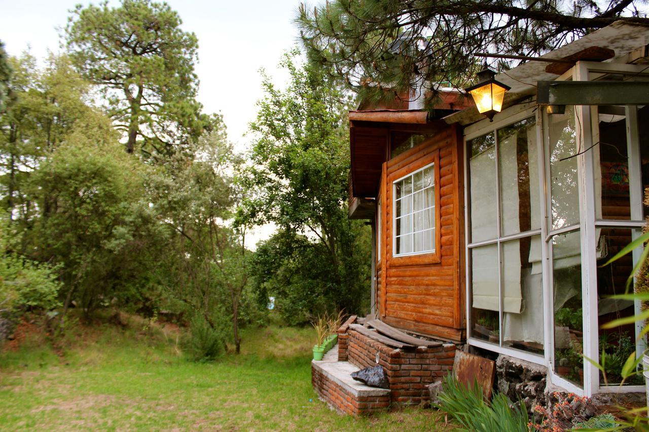 Cabana Espacio De Oyamel * Mexico City