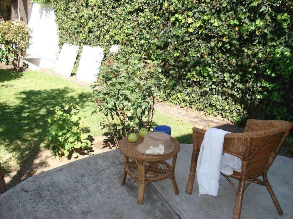Cuija Coyoacan México DF