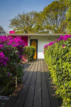Cuija Coyoacan 2*