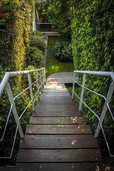 Cuija Coyoacan 2*