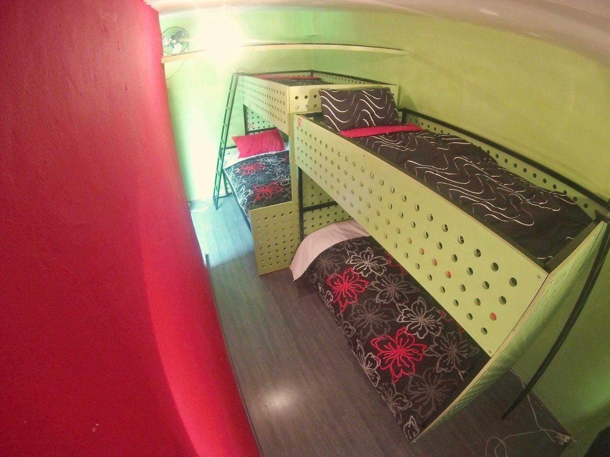 Roomies Condesa Hostal México DF
