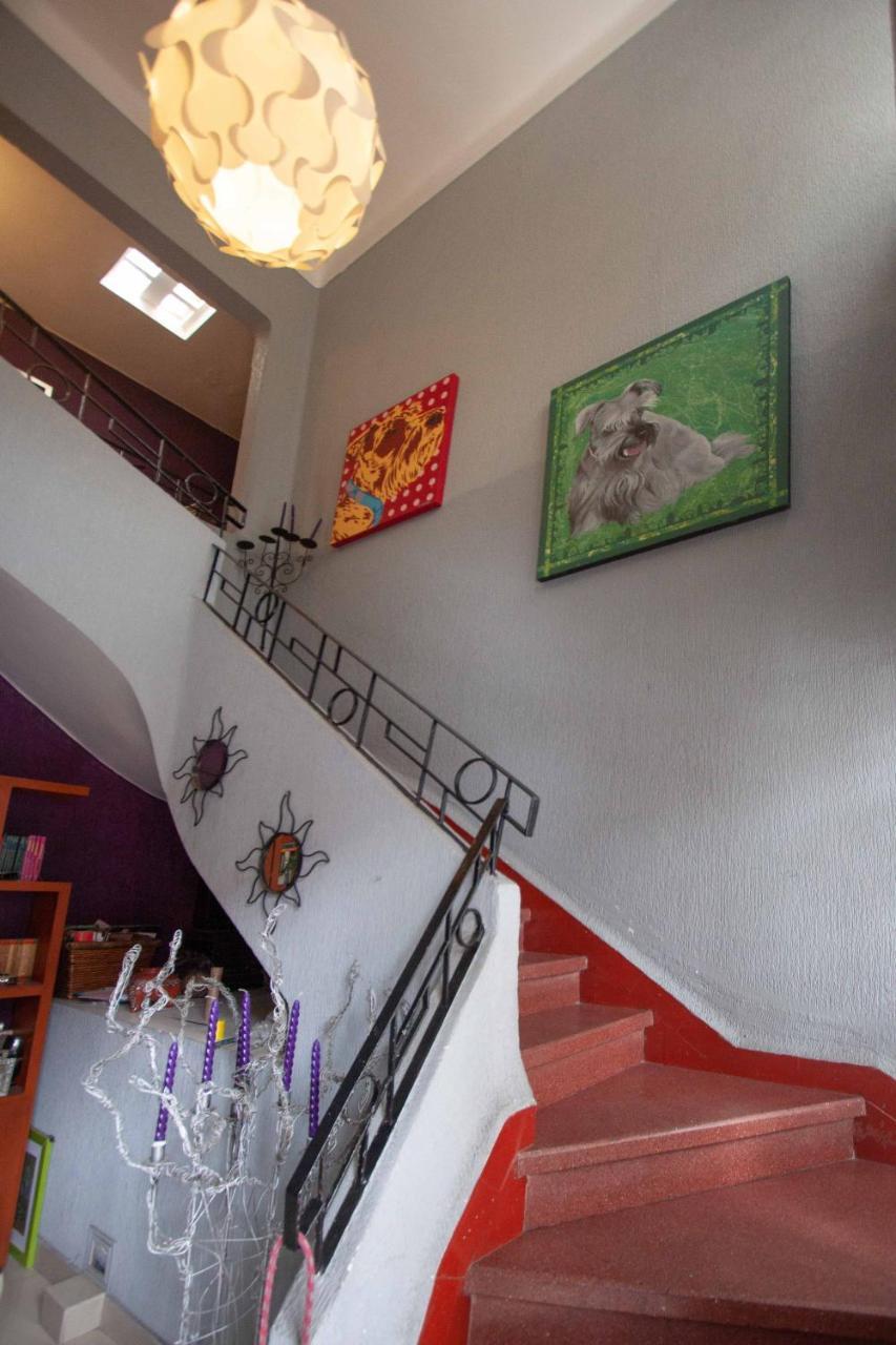Condechi B And B Bed & Breakfast