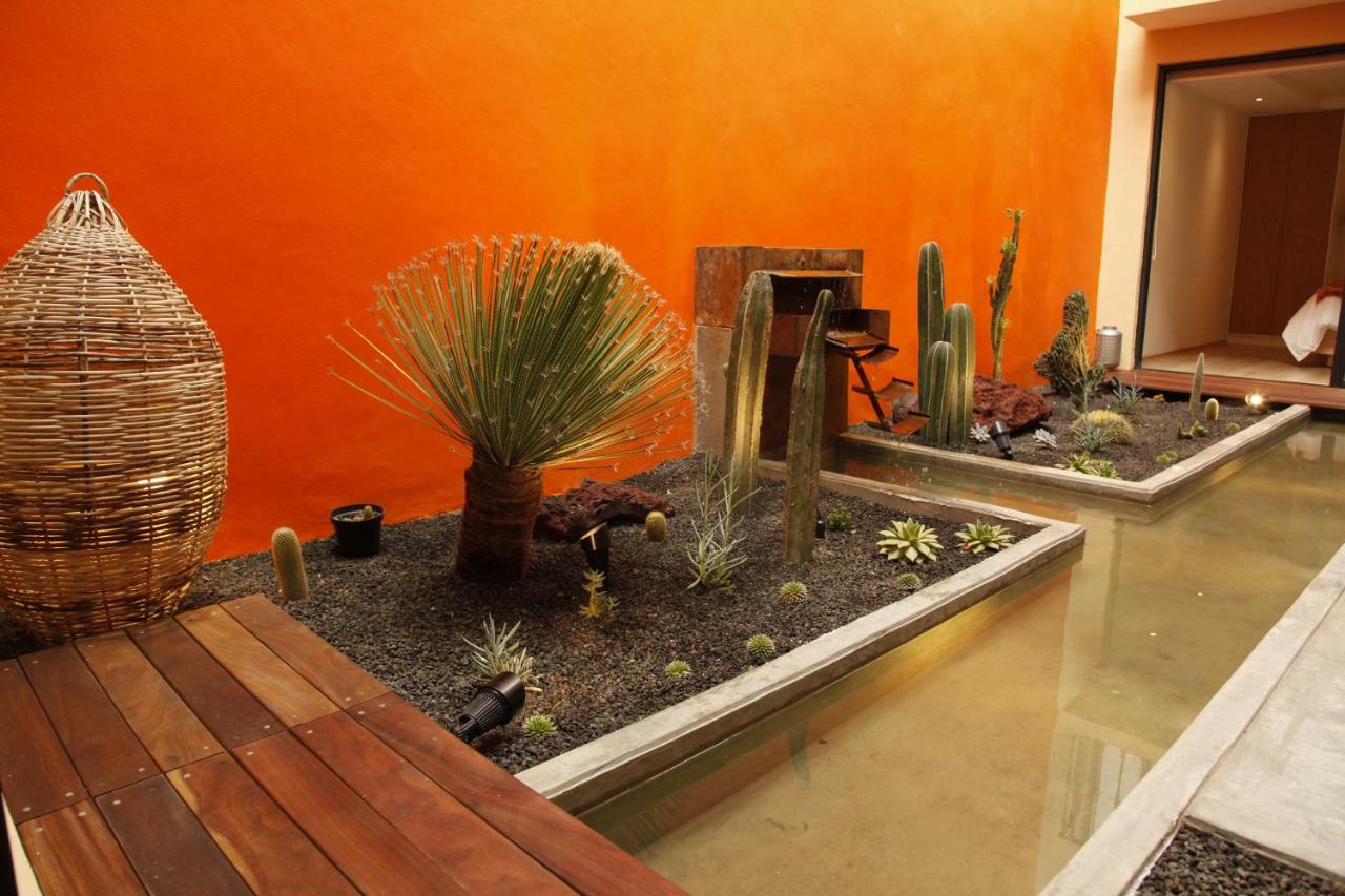 Coyoacán - Pensión 3*