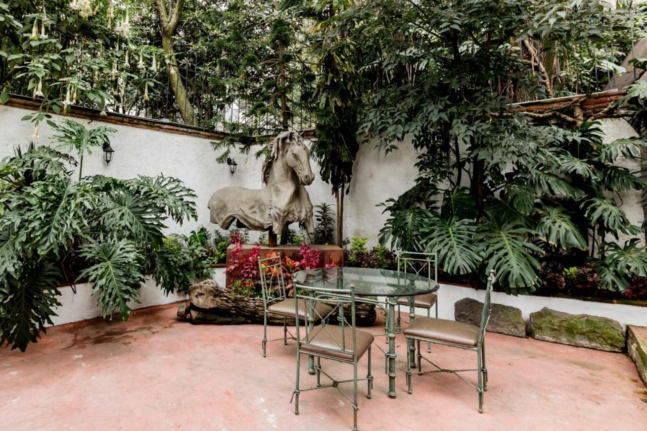 Hotel Camilos (adults Only) Mexico City