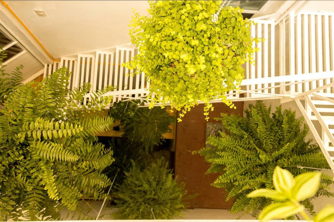 Homestay Casa Boutique Genova