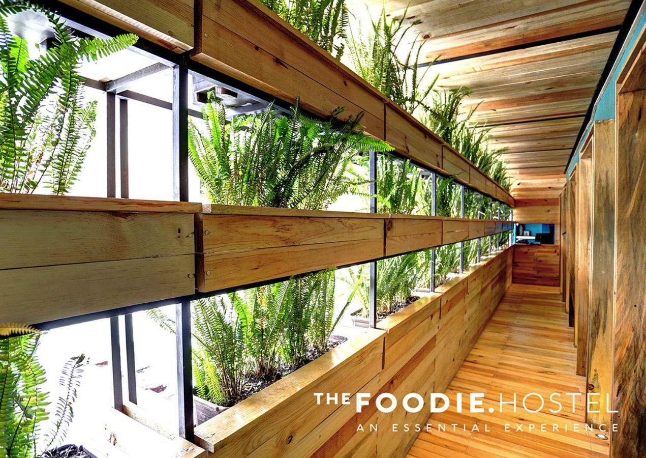 The Foodie Hostel Mexico City