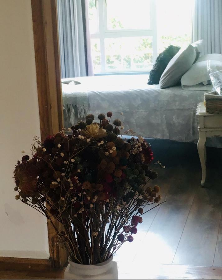 Bed and breakfast Hermosa Cerca Del Parque Hundido