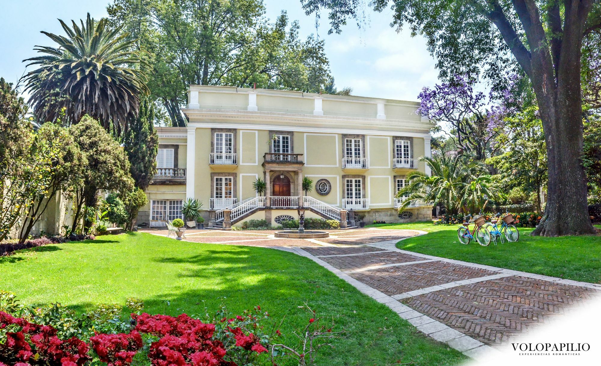Bed & Breakfast Mansion Papilio Mexico City