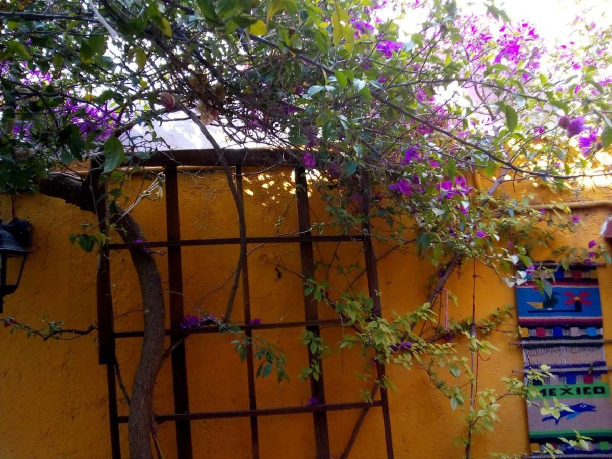 Hospedagem domiciliar Recamara Rustica