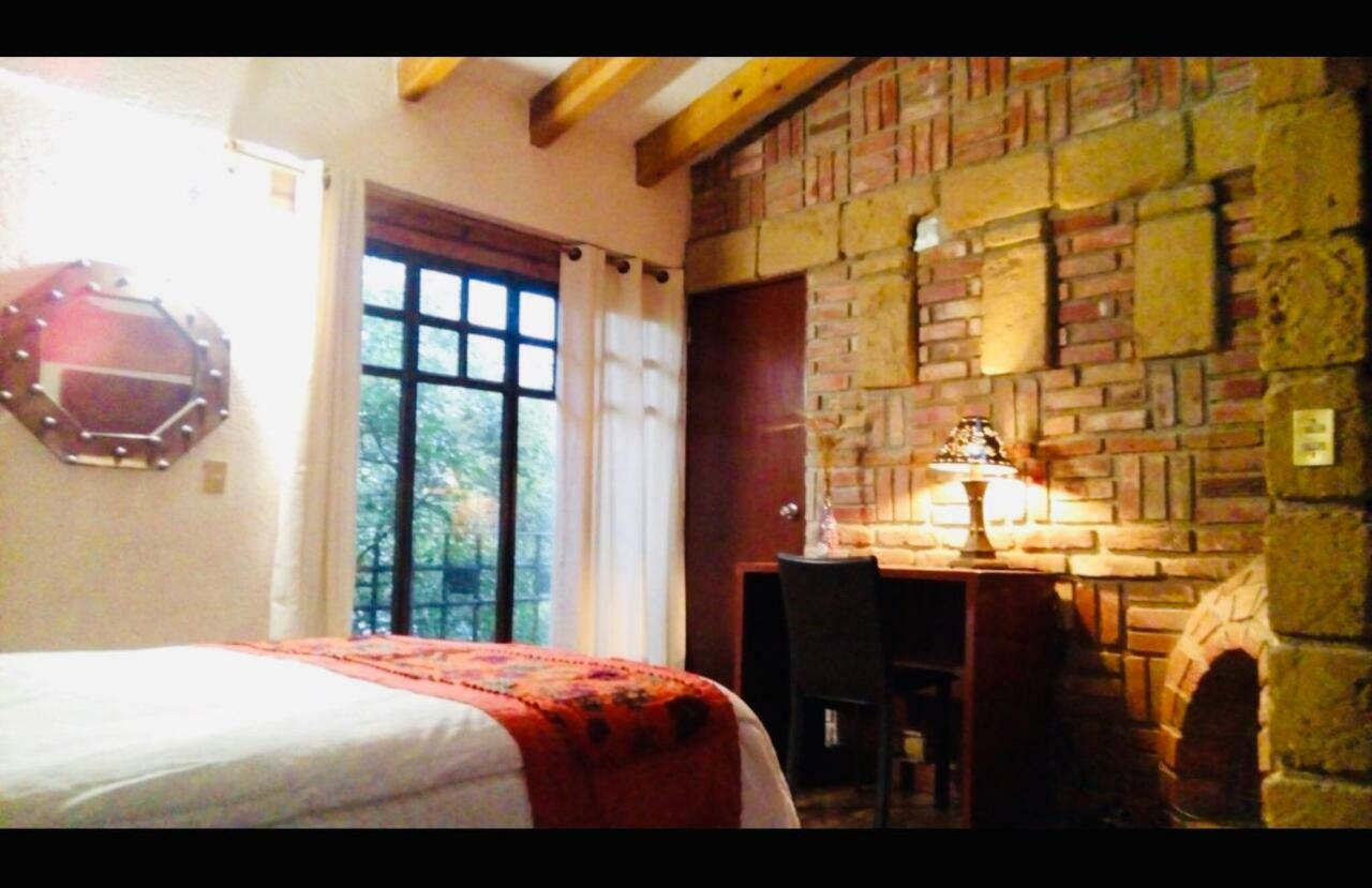 Calle Berlin Boutique Inn Mexico City