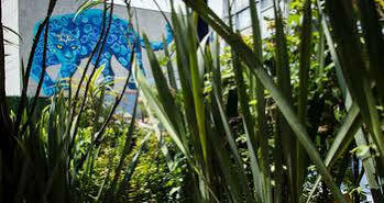 Hotel Parque 4*