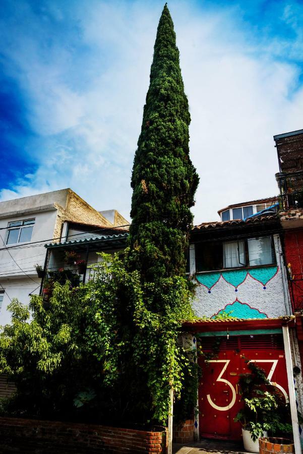 Hostel Mexico Df Airport Mexico City
