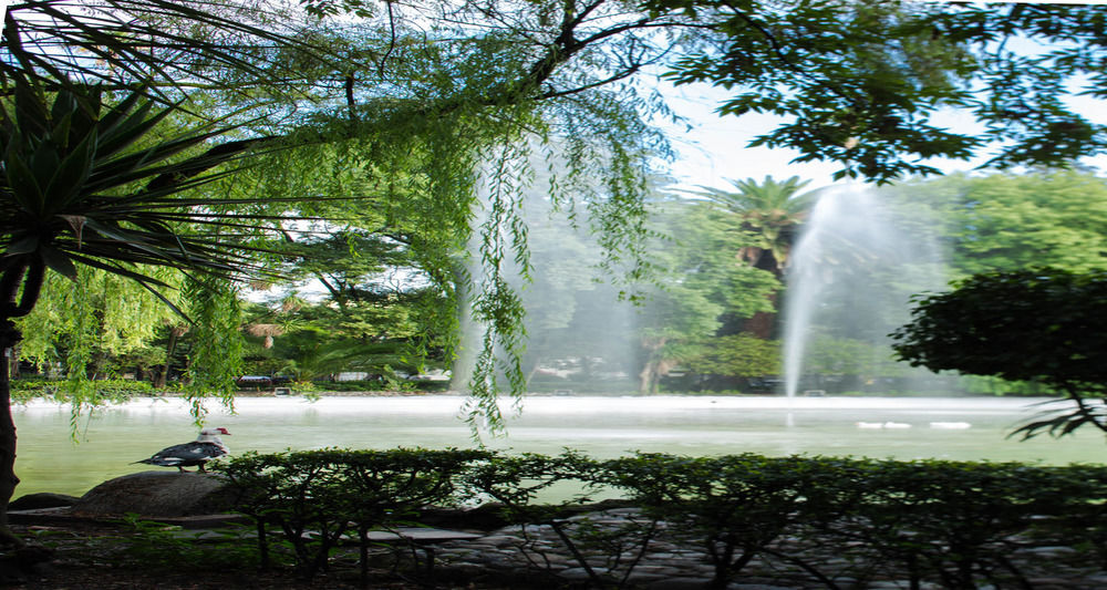 Parque 4* Cidade do México