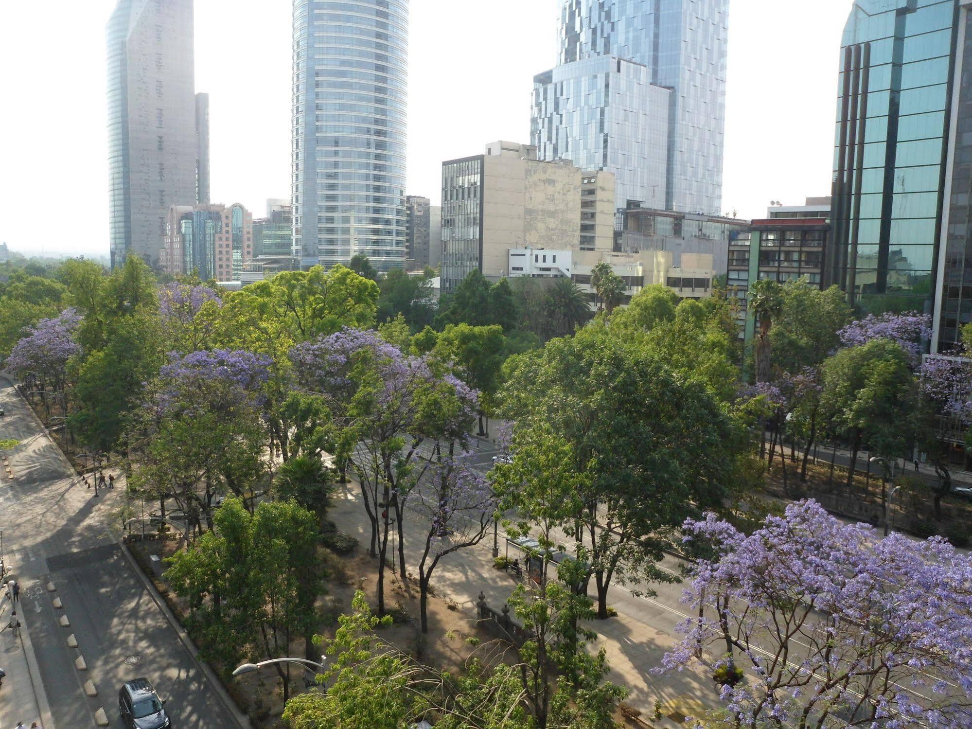 Capri Reforma ángel 380