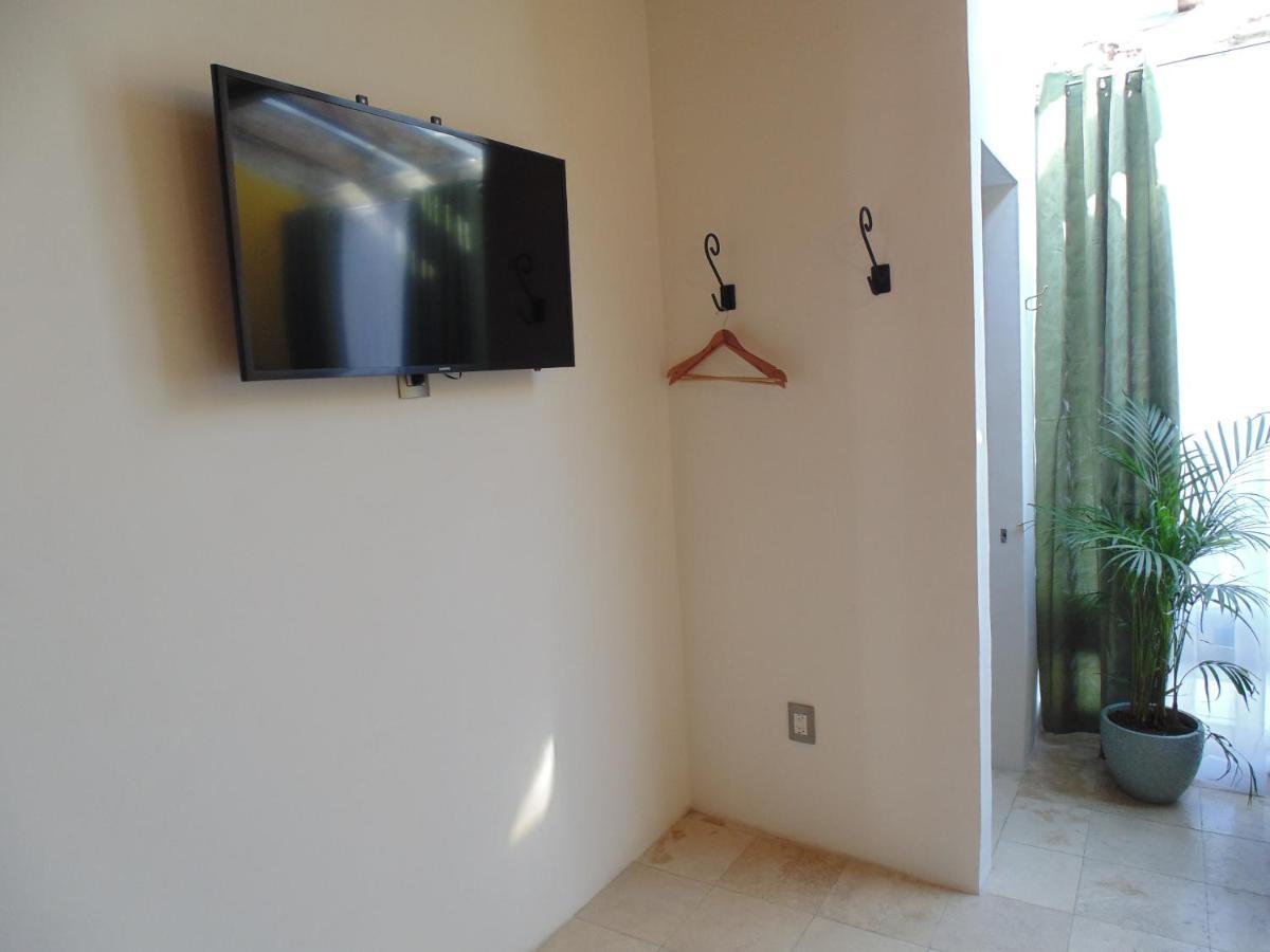 Coyota House Un Hotelito Boutique En El Centro De Coyoacán Precio Promoción