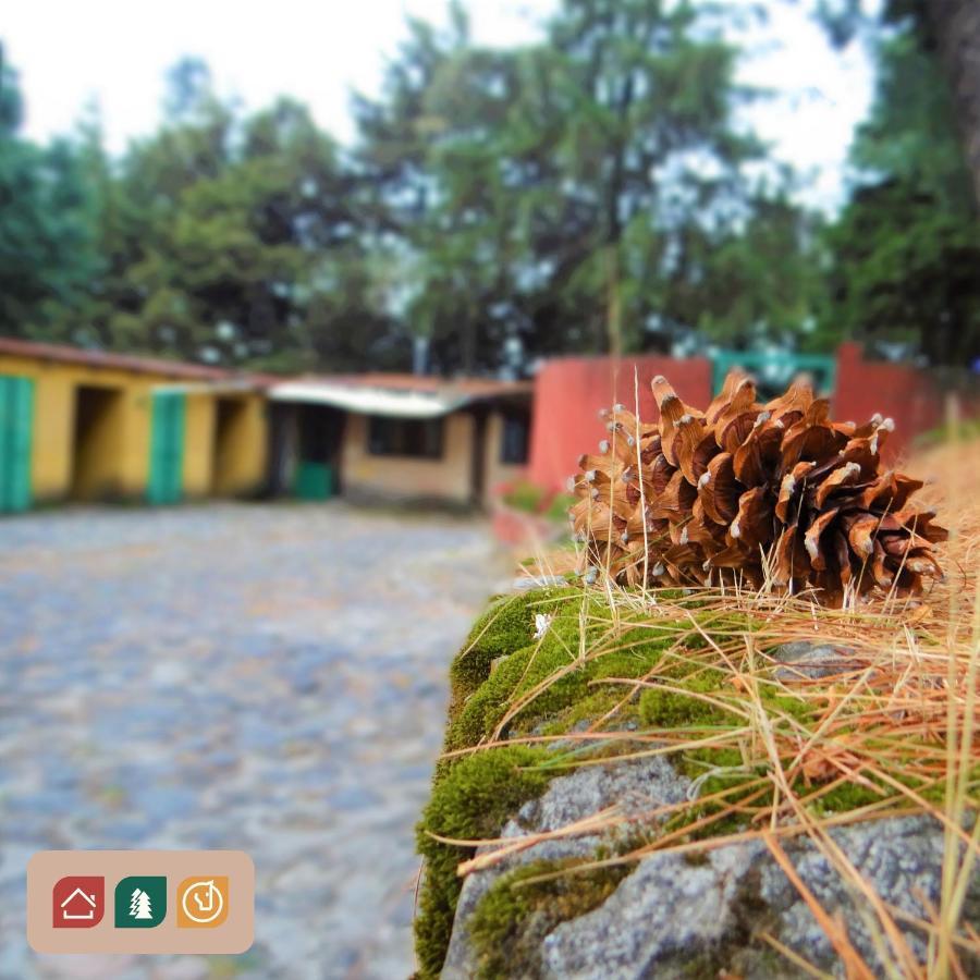 Rancho El Paraíso Ajusco Lodge *