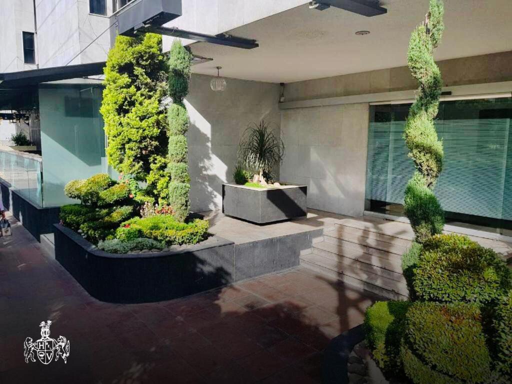 Love hotel Del Valle Mexico City